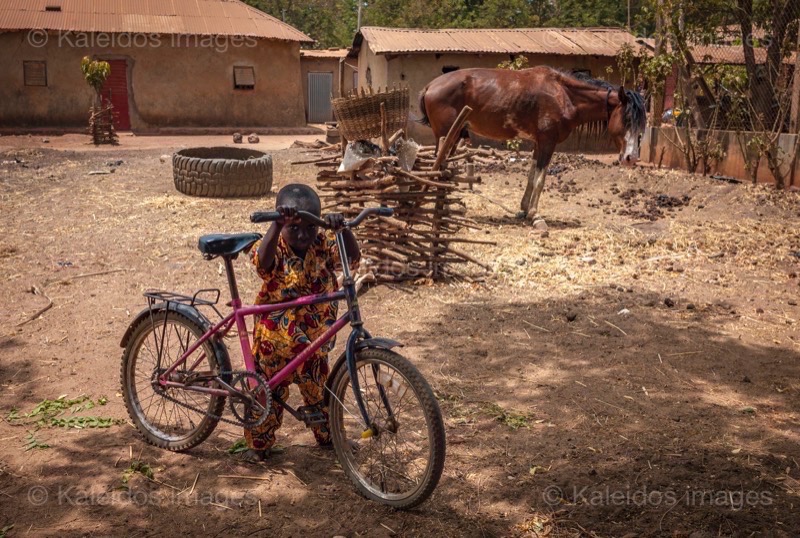 Africa;Benin;Bicycle;Boys;Children;Kaleidos;Kaleidos images;La parole à l'image;Sameddine Atta;Tarek Charara;Horses;Pehonko