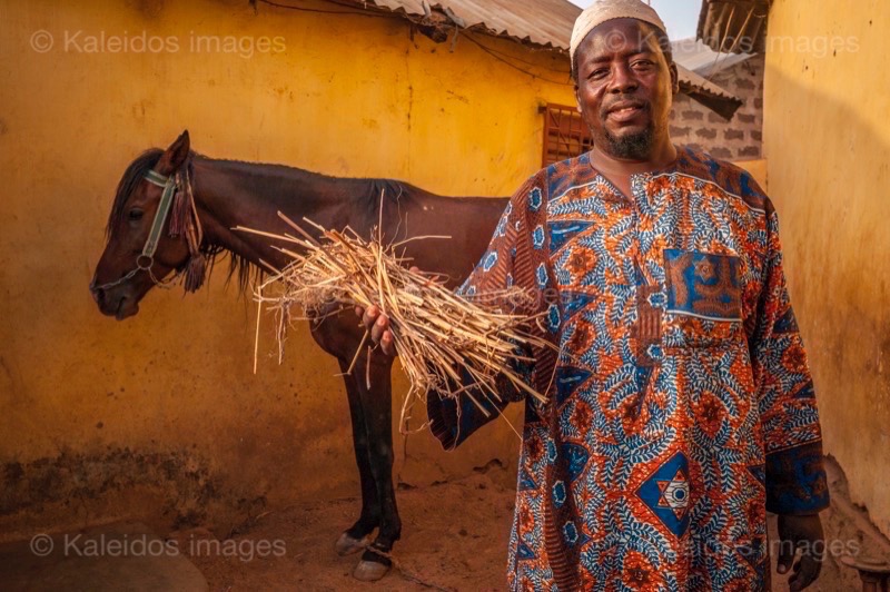 Africa;Benin;Dongola;Hay;Horses;Kaleidos;Kaleidos images;La parole à l'image;Man;Men;Mohammed Traoré;Straw;Tarek Charara