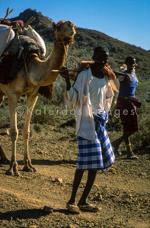 Africa;Caravans;Deserts;Djibouti;Dromedaries;Dromedary;Kaleidos;Kaleidos images;Man;Men;Tarek Charara