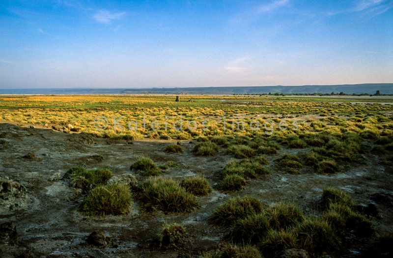 Africa;Djibouti;Kaleidos;Kaleidos images;Lake Abbe;Lake Abhe Bad;Landscapes;Tarek Charara