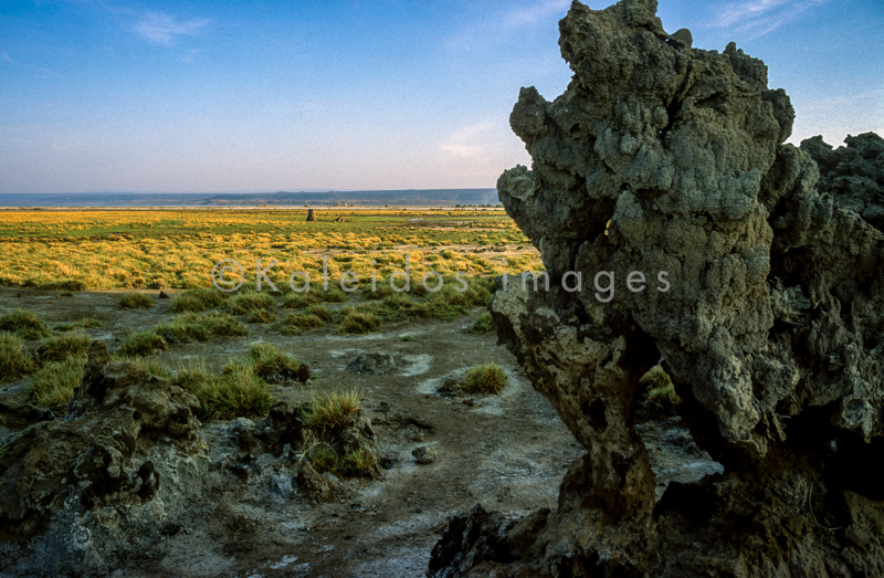 Africa;Djibouti;Kaleidos;Kaleidos images;Lake Abbe;Lake Abhe Bad;Landscapes;Tarek Charara