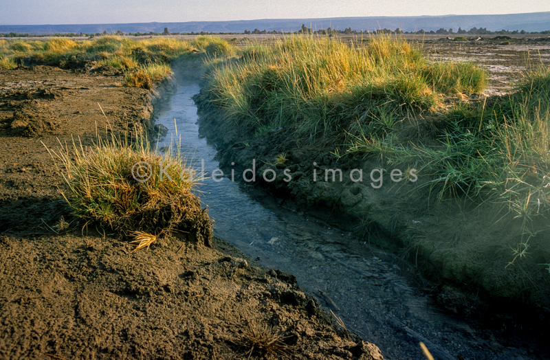 Afrique;Djibouti;Kaleidos;Kaleidos images;Lac Abbe;Lac Abhe Bad;Lac Abhé;Tarek Charara;Ruisseaux;Eau