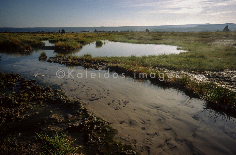 Afrique;Djibouti;Kaleidos;Kaleidos images;Lac Abbe;Lac Abhe Bad;Lac Abhé;Tarek Charara;Ruisseaux;Eau