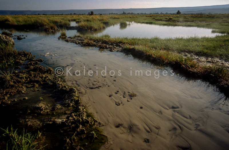 Afrique;Djibouti;Kaleidos;Kaleidos images;Lac Abbe;Lac Abhe Bad;Lac Abhé;Tarek Charara;Ruisseaux;Eau