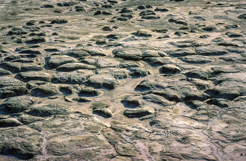 Africa;Close-up;Detail;Djibouti;Kaleidos;Kaleidos images;Lake Abbe;Lake Abhe Bad;Mud;Tarek Charara