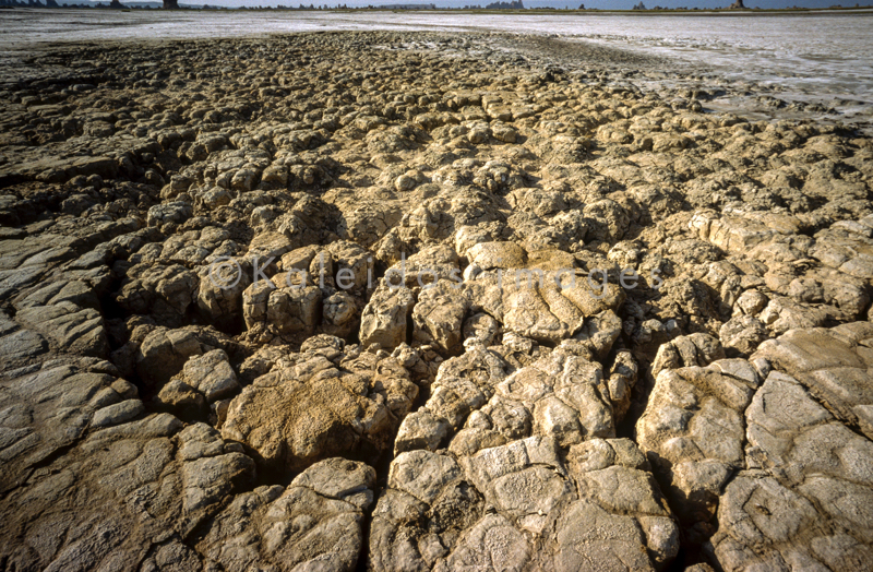 Afrique;Boue;Djibouti;Détail;Kaleidos;Kaleidos images;Lac Abbe;Lac Abhe Bad;Lac Abhé;Tarek Charara