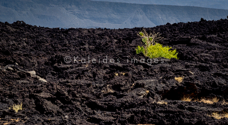 Africa;Afrique;Djibouti;Ghoubbet-el-Kharab;Ghoubet al-Kharab;Kaleidos;Kaleidos images;Landscapes;Paysages;Tarek Charara