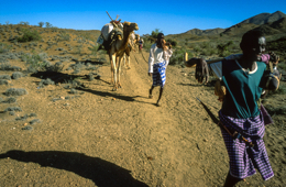 Afrique;Caravanes;Djibouti;Dromadaires;Déserts;Hommes;Kaleidos;Kaleidos-images;Tarek-Charara