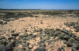 Africa;Archeology;Djibouti;Kaleidos;Kaleidos-images;Landscapes;Deserts;Tarek-Charara