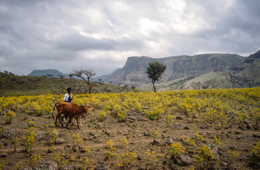 Africa;Afrique;Djibouti;Kaleidos;Kaleidos-images;Landscapes;Paysages;Tarek-Charara