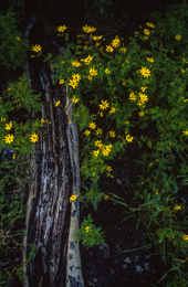 Africa;Afrique;Djibouti;Kaleidos;Kaleidos-images;Tarek-Charara