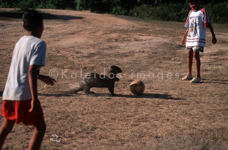 Hervé Merliac,Kaleidos images;La parole à l'image;Boys;Children;Otters;Soccer;Football;Ball;Play;Games