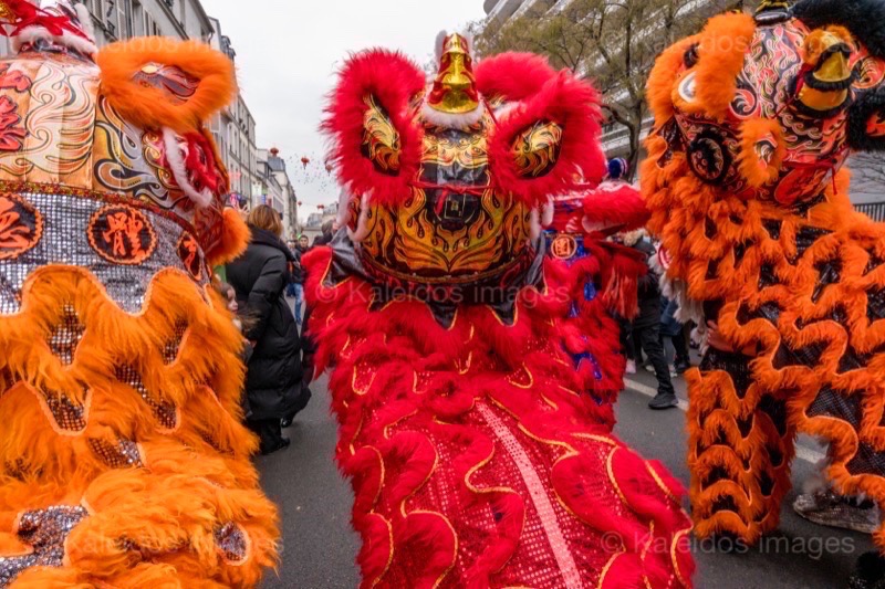 Belleville;Nouvel an chinois;Nouvel an lunaire;Paris;Paris XIX;Paris 19;France;Kaleidos;Kaleidos images;La parole à l'image;Tarek Charara; Lions; Danse; Danse des lions