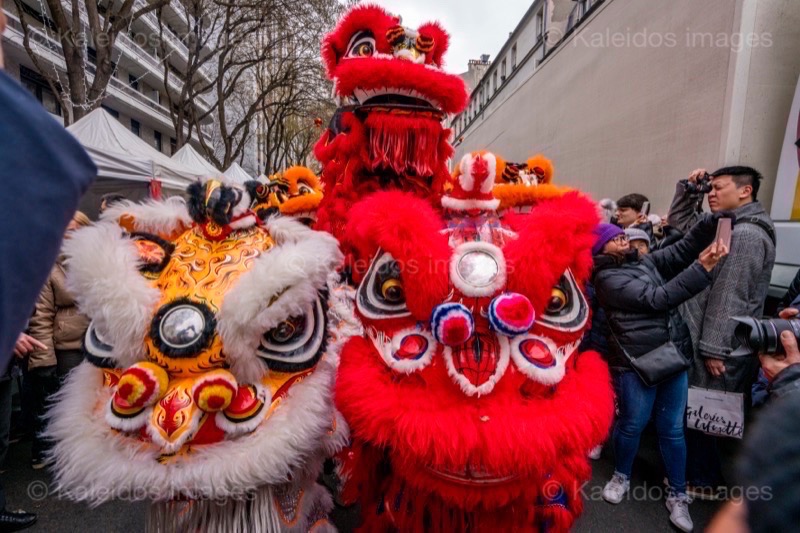 Belleville;Nouvel an chinois;Nouvel an lunaire;Paris;Paris XIX;Paris 19;France;Kaleidos;Kaleidos images;La parole à l'image;Tarek Charara; Lions; Danse; Danse des lions