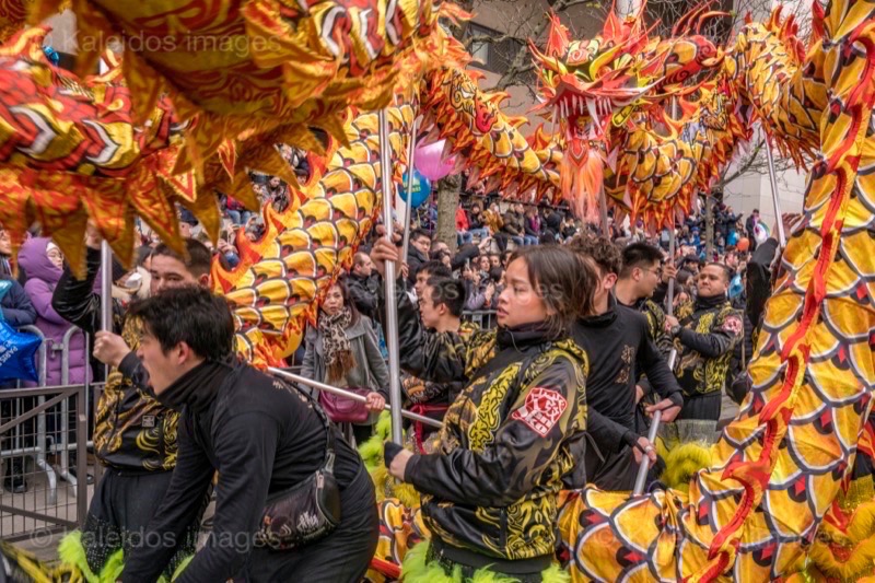 Chinese New Year;Dragons;Dragons dance;Kaleidos;Kaleidos images;La parole à l'image;