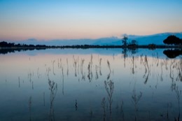 Albères;Coucher-de-soleil;Coucher-du-soleil;France;Kaleidos;Kaleidos-images;La-parole-à-limage;Lac-de-Villeneuve-de-la-Raho;Lac-de-la-Raho;Lacs;Massif-des-Albères;Paysages;Purénées;Pyrénées-Orientales;Tarek-Charara