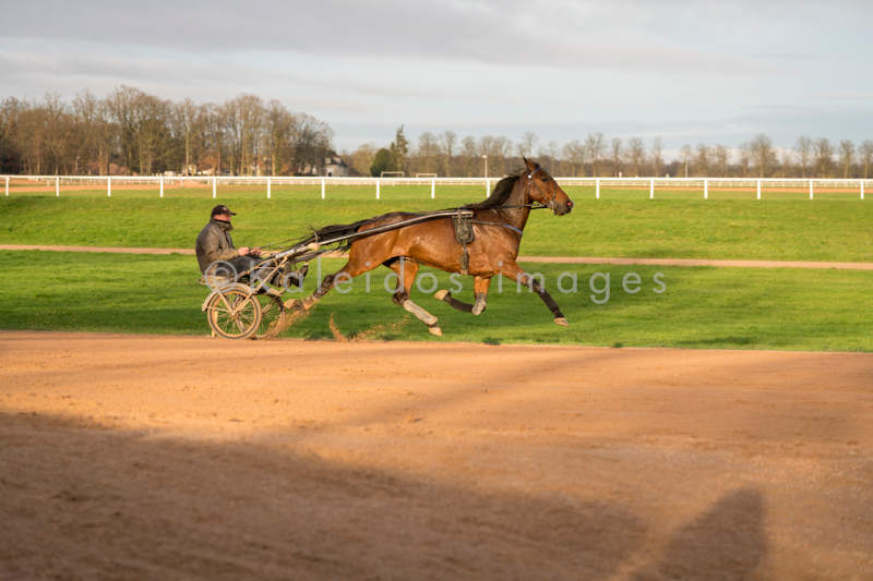 Domaine de Grosbois;Drivers;French Trotters;Grosbois;Harness racing;Horse;Horses;Kaleidos;Kaleidos images;Marolles-en-Brie;Sulkies;Sulky;Tarek Charara;Trot;Trotters;Trotting;Philippe Allaire