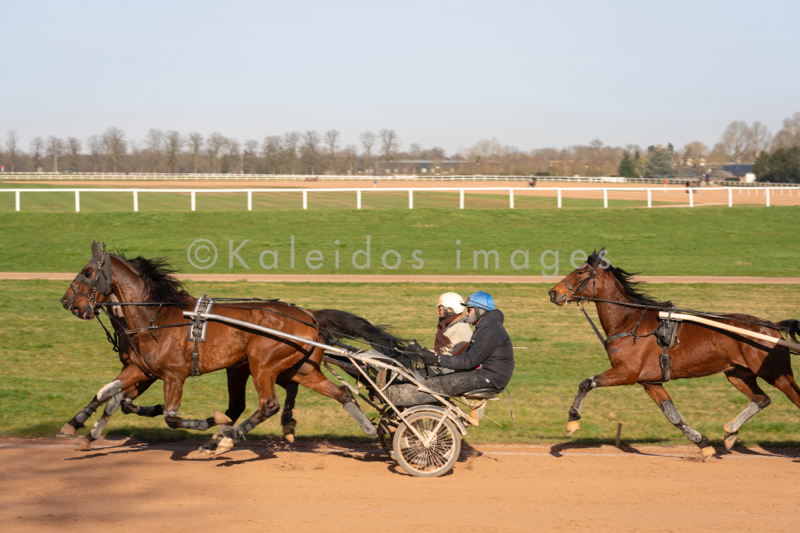 Cheval;Chevaux;Domaine de Grosbois;Drivers;Grosbois;Kaleidos;Kaleidos images;Marolles-en-Brie;Sulkies;Sulky;Tarek Charara;Trot;Trotteurs