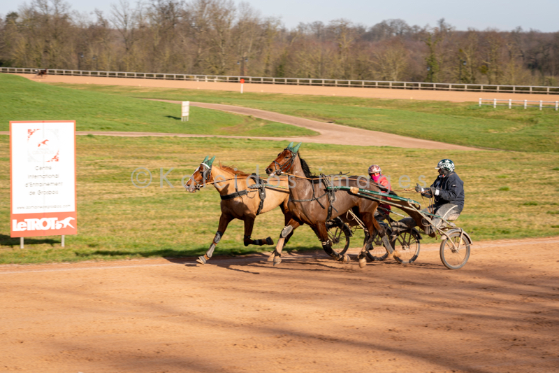 Domaine de Grosbois;Drivers;French Trotters;Grosbois;Harness racing;Horse;Horses;Kaleidos;Kaleidos images;Marolles-en-Brie;Sulkies;Sulky;Tarek Charara;Trot;Trotter;Trotters;Trotting