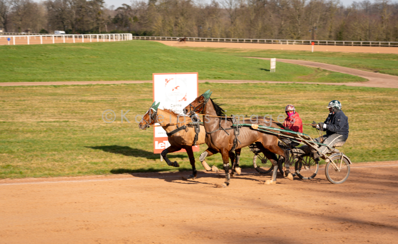 Domaine de Grosbois;Drivers;French Trotters;Grosbois;Harness racing;Horse;Horses;Kaleidos;Kaleidos images;Marolles-en-Brie;Sulkies;Sulky;Tarek Charara;Trot;Trotter;Trotters;Trotting