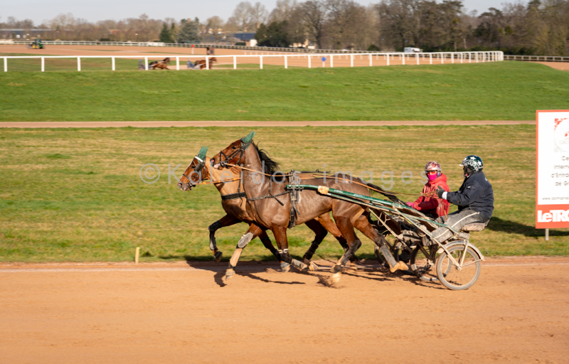 Cheval;Chevaux;Domaine de Grosbois;Drivers;Grosbois;Kaleidos;Kaleidos images;Marolles-en-Brie;Sulkies;Sulky;Tarek Charara;Trot;Trotteurs