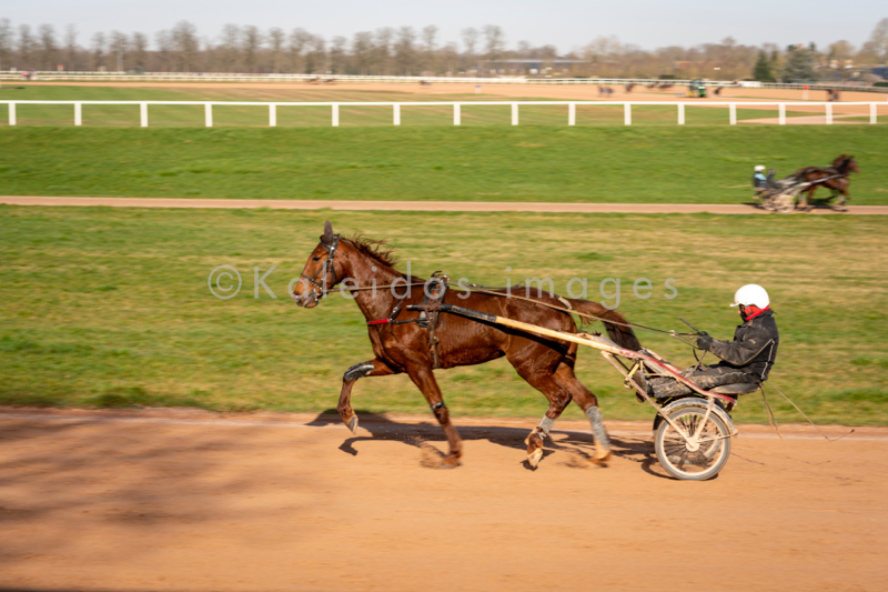 Domaine de Grosbois;Drivers;French Trotters;Grosbois;Harness racing;Horse;Horses;Kaleidos;Kaleidos images;Marolles-en-Brie;Sulkies;Sulky;Tarek Charara;Trot;Trotter;Trotters;Trotting