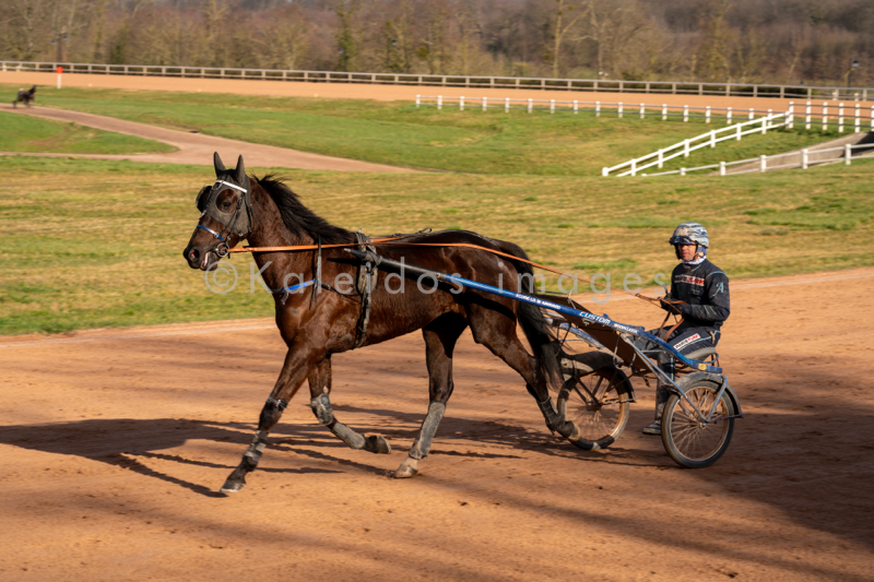 Cheval;Chevaux;Domaine de Grosbois;Drivers;Grosbois;Kaleidos;Kaleidos images;Marolles-en-Brie;Sulkies;Sulky;Tarek Charara;Trot;Trotteurs