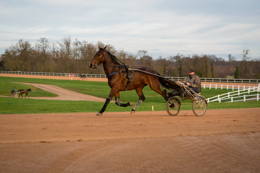 Domaine-de-Grosbois;Drivers;French-Trotters;Grosbois;Harness-racing;Horse;Horses;Kaleidos;Kaleidos-images;Marolles-en-Brie;Sulkies;Sulky;Tarek-Charara;Trot;Trotters;Trotting;Philippe-Allaire