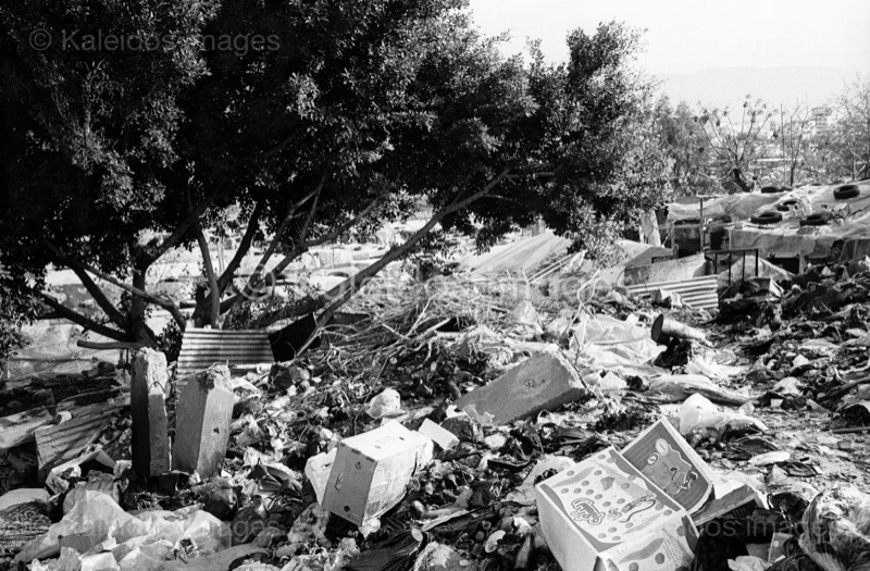 Filth;Garbage;Kaleidos images;Palestinian Refugees;Palestinians;Refugee camps;Shanty Towns;Shatila;Tarek Charara;Trees;UNRWA;Waste