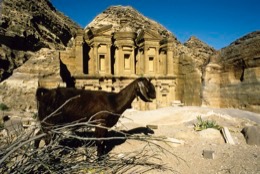 Tarek-Charara;Kaleidos;Kaleïdos;Kaleidos-images;Middle-East;Middle-East;UNESCO;World-Heritage;Graves;Tombs;History;Nabateans;Petra;Jordan;Goats
