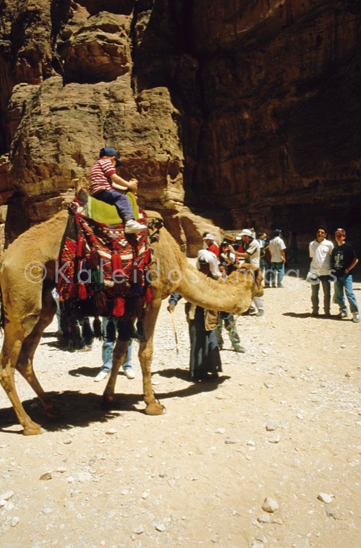 Tarek Charara;Kaleidos images;La parole à l'image;UNESCO;World Heritage;Tourists;Bedouins;Dromedary;Dromedaries;History;Nabateans;Petra;Jordan;Khazneh;Al Khazneh