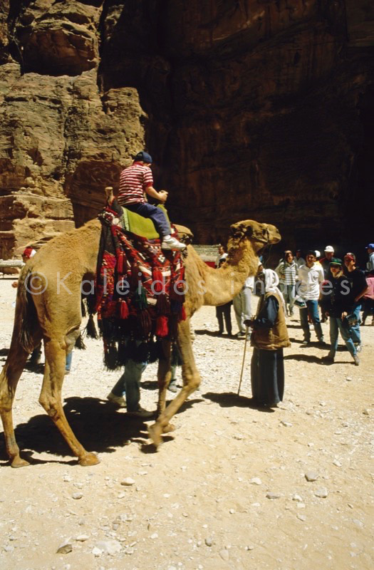 Tarek Charara;Kaleidos images;La parole à l'image;UNESCO;World Heritage;Tourists;Bedouins;Dromedary;Dromedaries;History;Nabateans;Petra;Jordan;Khazneh;Al Khazneh
