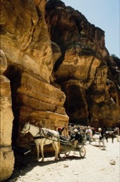 Tarek-Charara;Kaleidos-images;La-parole-Ã -limage;UNESCO;World-Heritage;Horses;Tourists;Bedouins;cart;History;Nabateans;Petra;Jordan;Khazneh;Al-Khazneh