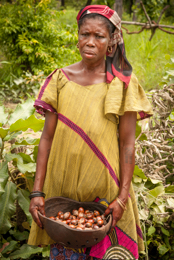 Africa;Afrique;Benin;Bénin;Femmes;Harvest;Kaleidos;Kaleidos-images;Karité;Noix-de-Karité;Portrait;Récolte;Shea;Shea-nuts;Tarek-Charara;Woman;Women