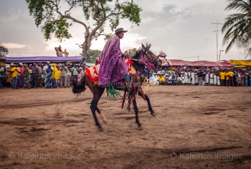 Africa;Benin;Faissal;Gaani;Horseman;Horsemen;Horses;Kaleidos;Kaleidos images;La parole à l'image;Riders;Tarek Charara;Dongola