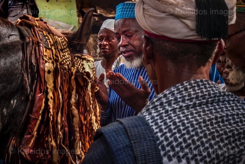 Africa;Benin;Gaani;Horses;Islam;Kaleidos;Kaleidos images;La parole à l'image;Man;Men;Muslim;Religion;Tarek Charara;Traditions