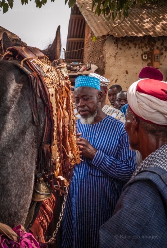 Africa;Benin;Gaani;Horses;Islam;Kaleidos;Kaleidos images;La parole à l'image;Man;Men;Muslim;Religion;Tarek Charara;Traditions