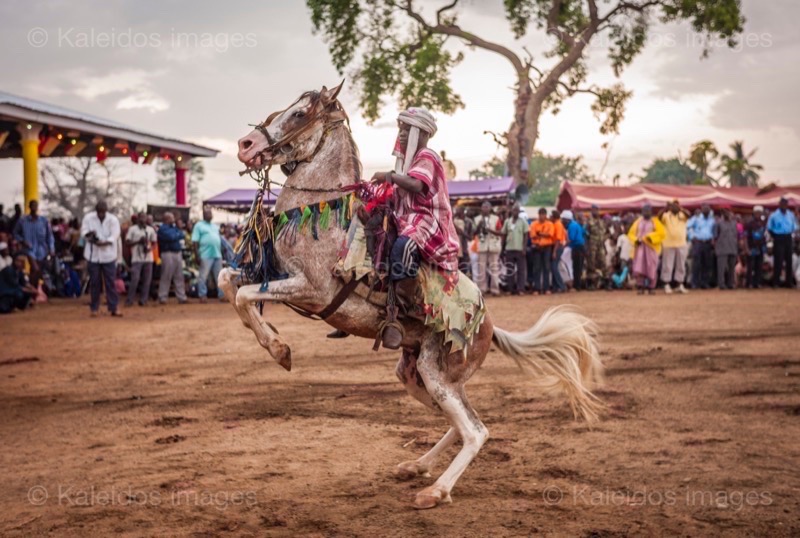 Afrique;Bénin;Cavaliers;Cheval;Chevaux;Gaani;Kaleidos;Kaleidos images;La parole à l'image;Rachid Fousséni;Rachidou Fousséni;Tarek Charara