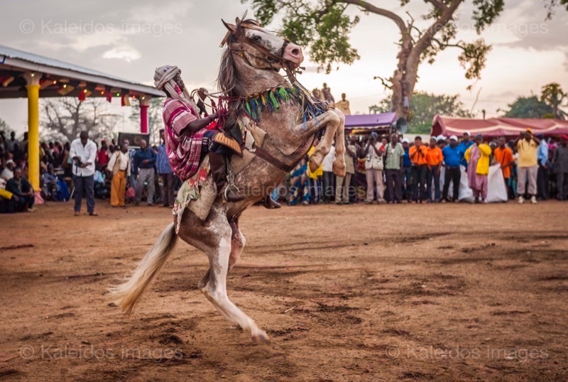 Afrique;Bénin;Cavaliers;Cheval;Chevaux;Gaani;Kaleidos;Kaleidos images;La parole à l'image;Rachid Fousséni;Rachidou Fousséni;Tarek Charara