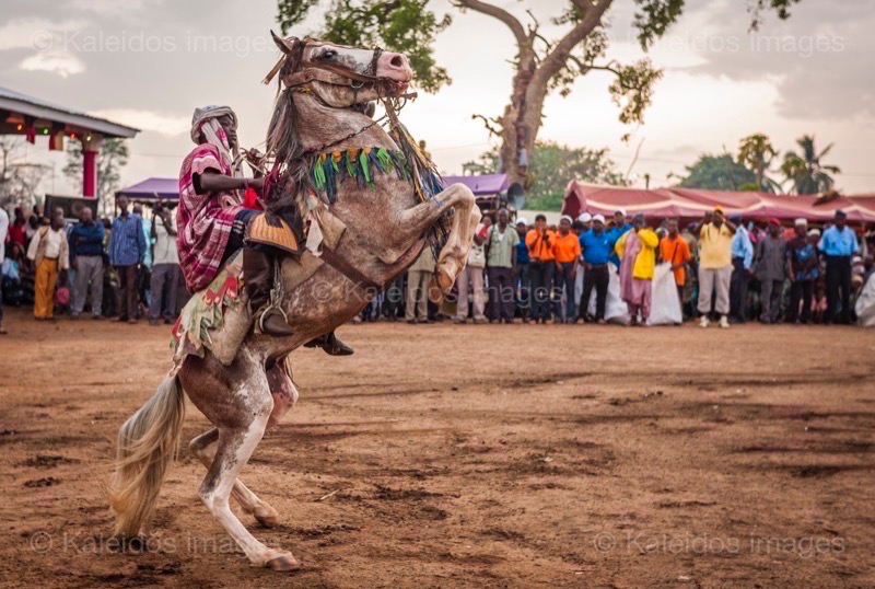 Afrique;Bénin;Cavaliers;Cheval;Chevaux;Gaani;Kaleidos;Kaleidos images;La parole à l'image;Rachid Fousséni;Rachidou Fousséni;Tarek Charara