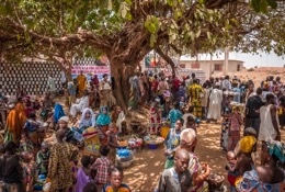 Africa;Benin;Crowds;Gaani;Kaleidos;Kaleidos-images;Kilir;La-parole-à-limage;Royal-Palace-of-Djougou;Tarek-Charara;Traditions;Trees