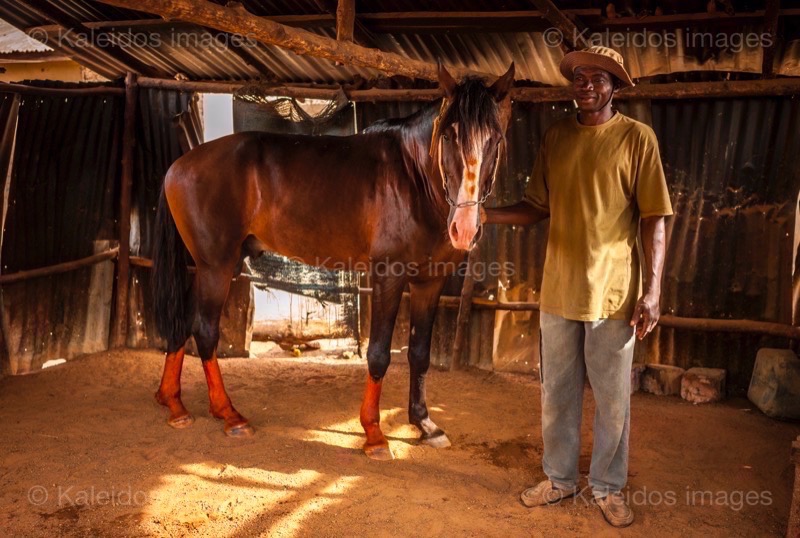 Africa;Benin;Danda;Horses;Kaleidos;Kaleidos images;La parole à l'image;Man;Men;Rafiou Owoni-Fari;Stables;Tarek Charara;Dongola