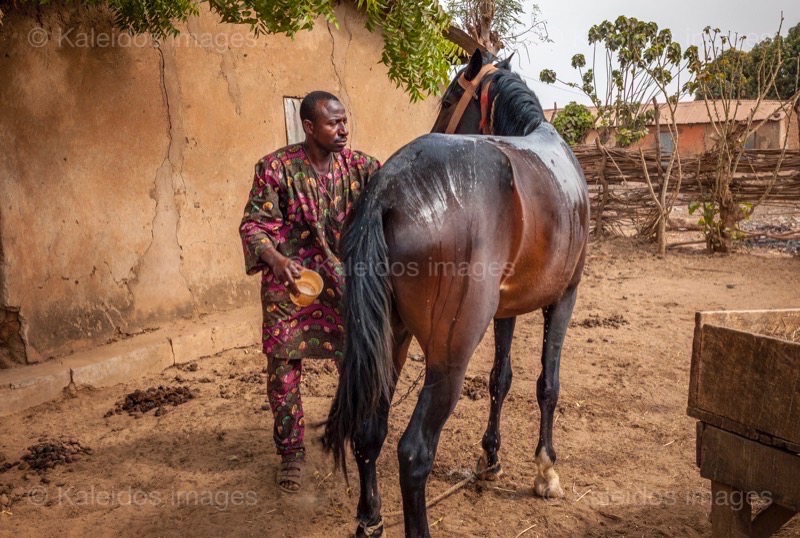 Africa;Benin;Danda;Horses;Kaleidos;Kaleidos images;La parole à l'image;Man;Men;Moussa Atta;Pehonko;Tarek Charara;Dongola