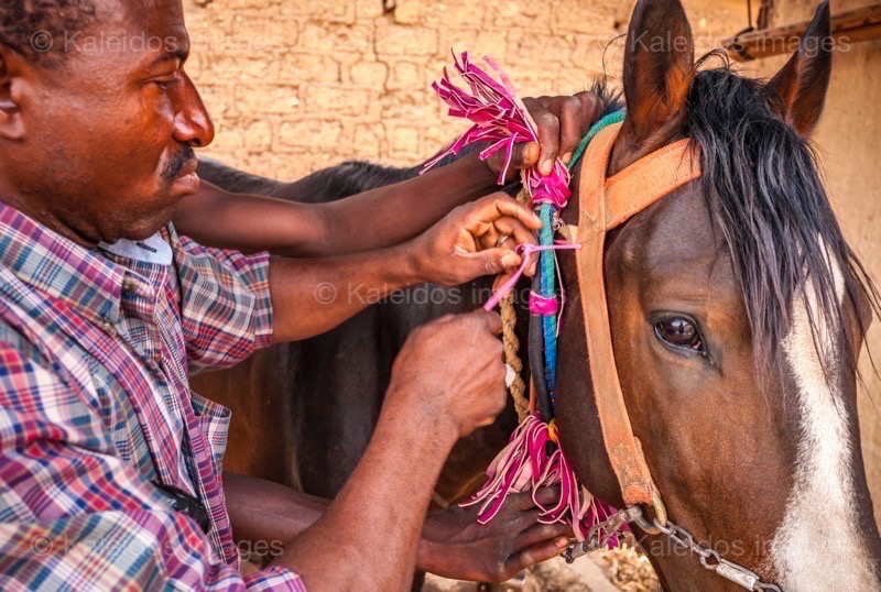 Africa;Benin;Danda;Horses;Kaleidos;Kaleidos images;La parole à l'image;Man;Men;Moussa Atta;Tarek Charara