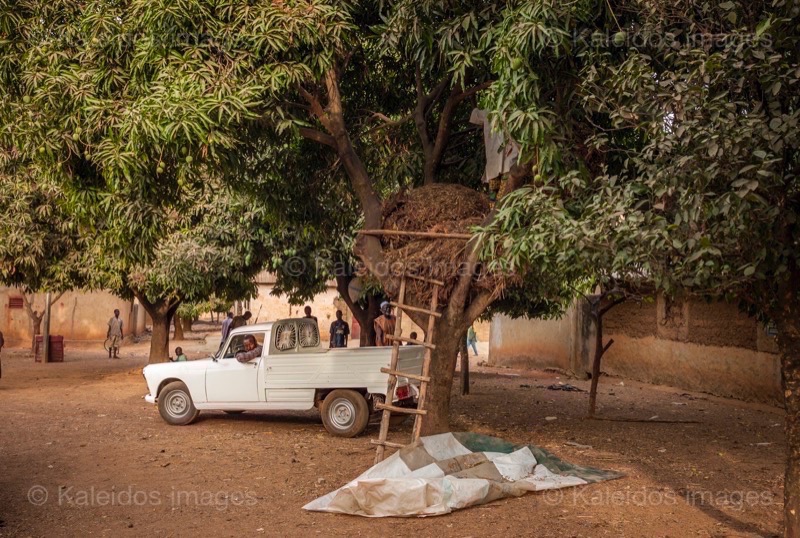 Africa;Benin;Hay;Kaleidos;Kaleidos images;La parole à l'image;Lorries;Lorry;Man;Men;Tarek Charara;Trees;Trucks