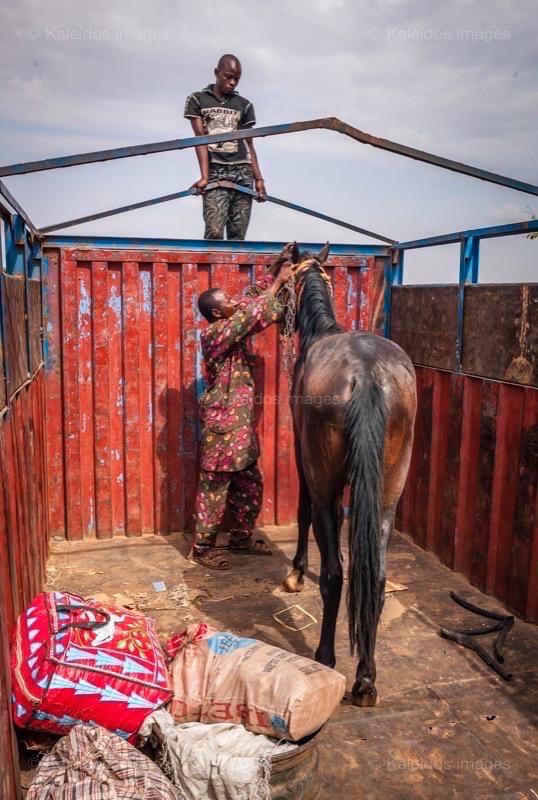 Africa;;Benin;Danda;Horses;Kaleidos;Kaleidos images;La parole à l'image;Moussa Atta;Pehonko;Tarek Charara;Dongola