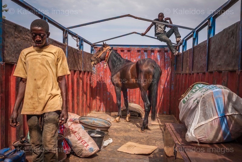 Africa;Benin;Danda;Horses;Kaleidos;Kaleidos images;La parole à l'image;Pehonko;Tarek Charara;Dongola