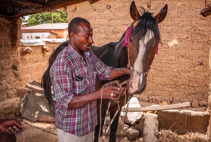 Africa;Benin;Danda;Horses;Kaleidos;Kaleidos images;La parole à l'image;Man;Men;Moussa Atta;Tarek Charara;Dongola