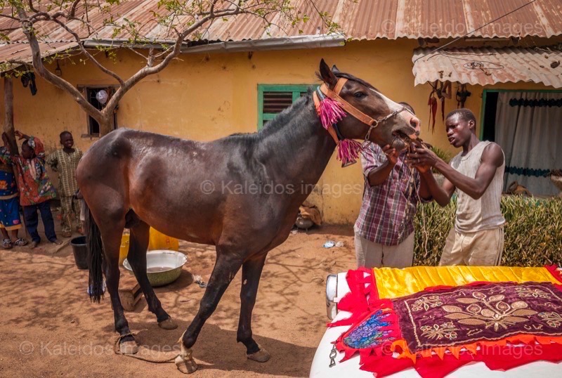 Africa;Benin;Danda;Horses;Kaleidos;Kaleidos images;La parole à l'image;Man;Men;Moussa Atta;Tarek Charara;Dongola