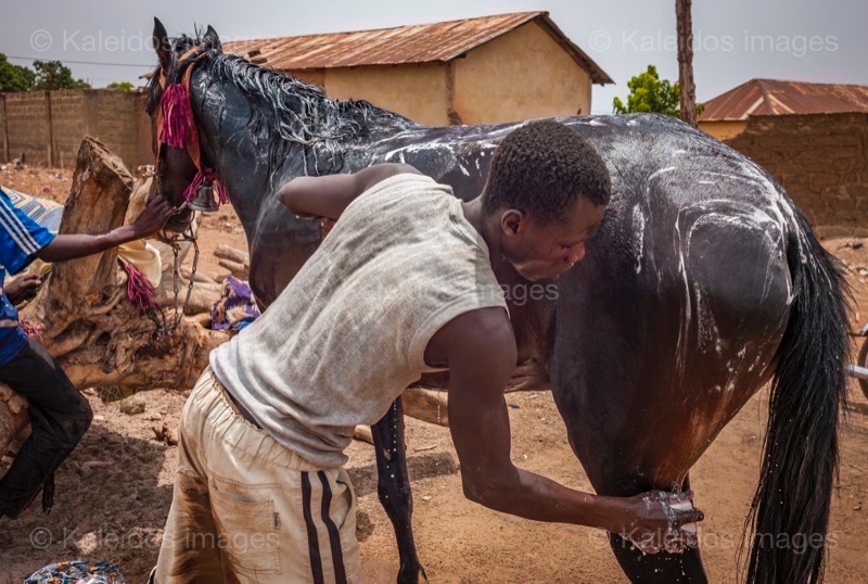 ;Cleaning;Washing;Dongola